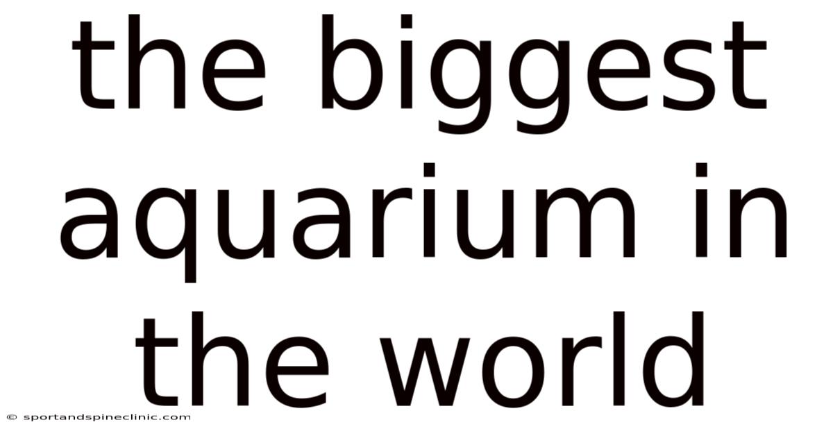 The Biggest Aquarium In The World