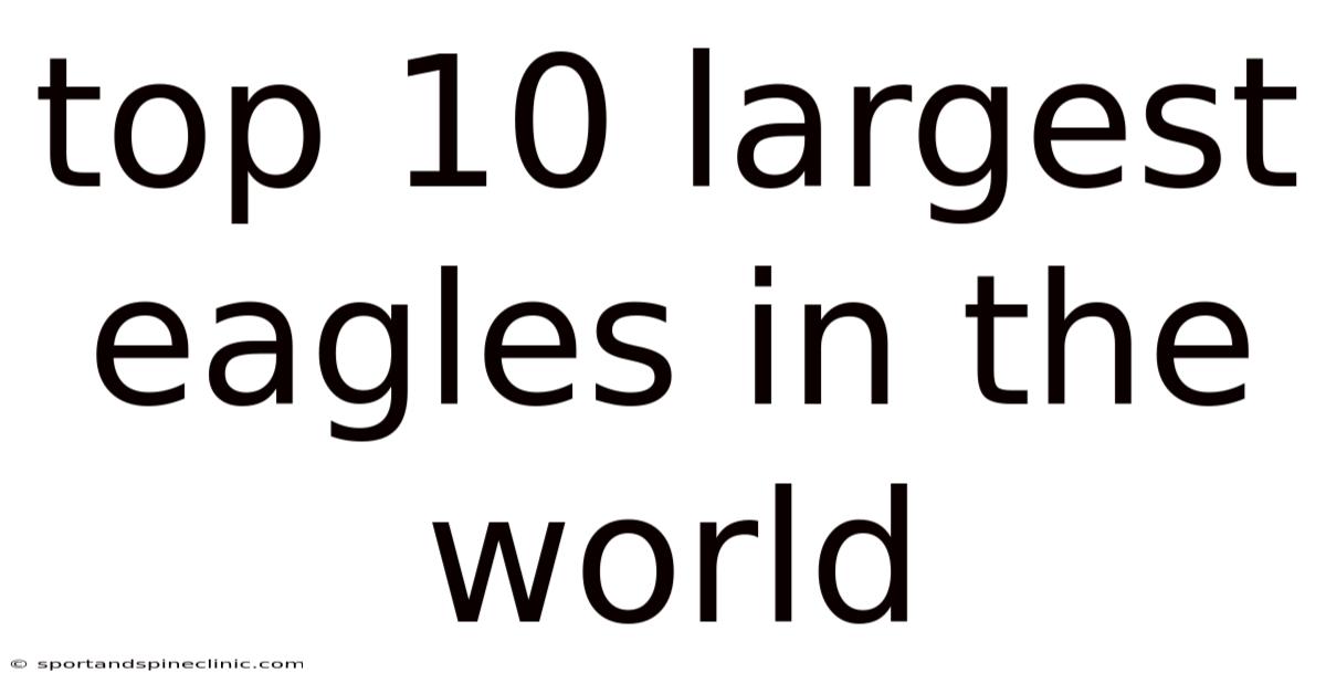 Top 10 Largest Eagles In The World