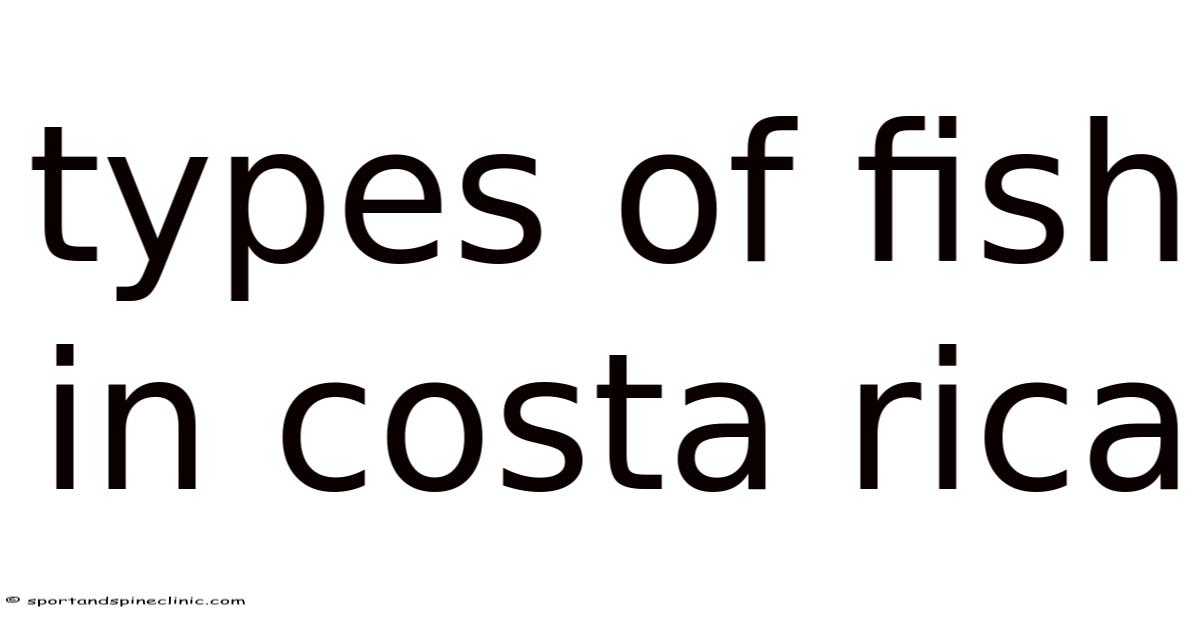 Types Of Fish In Costa Rica