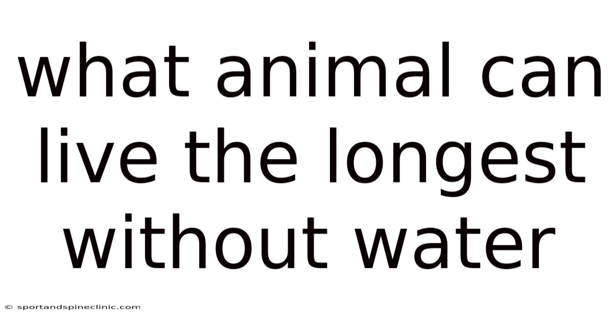 What Animal Can Live The Longest Without Water