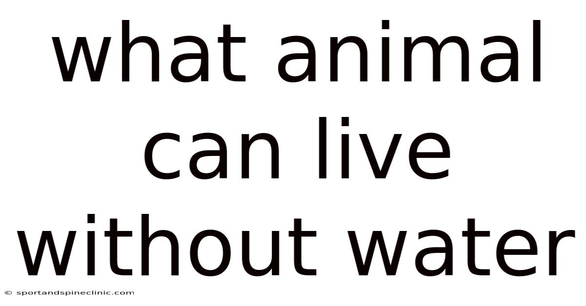 What Animal Can Live Without Water