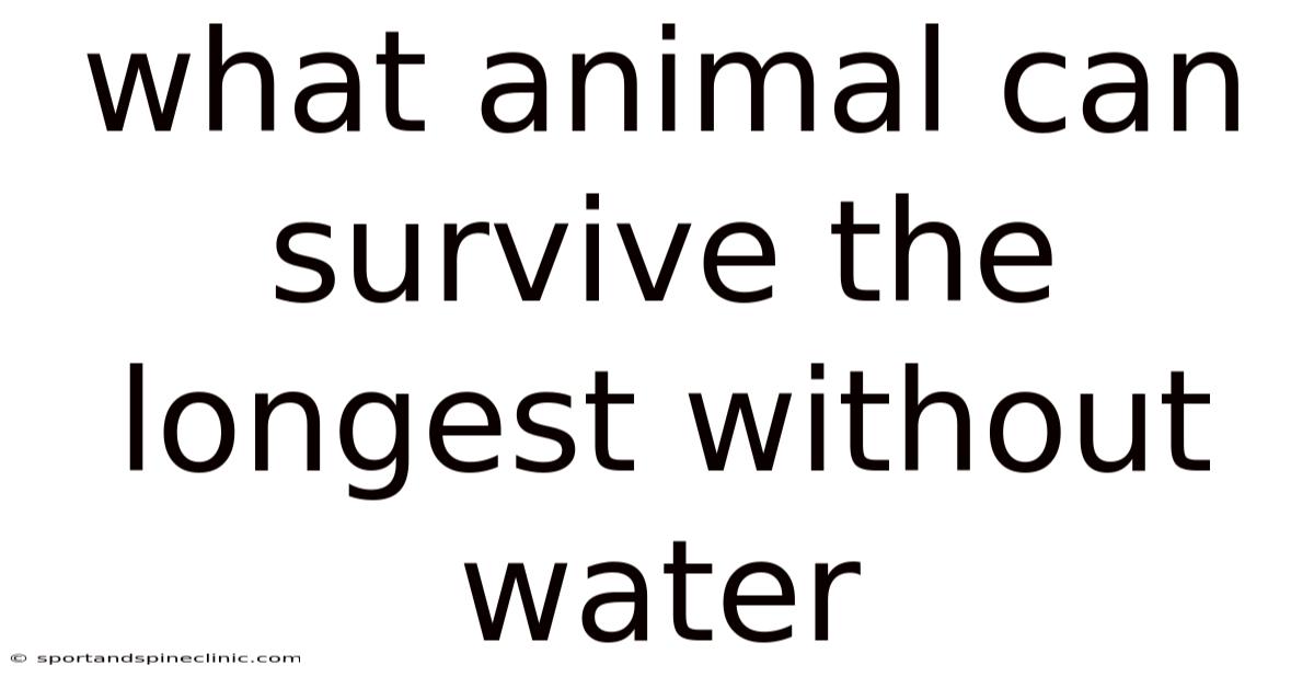 What Animal Can Survive The Longest Without Water