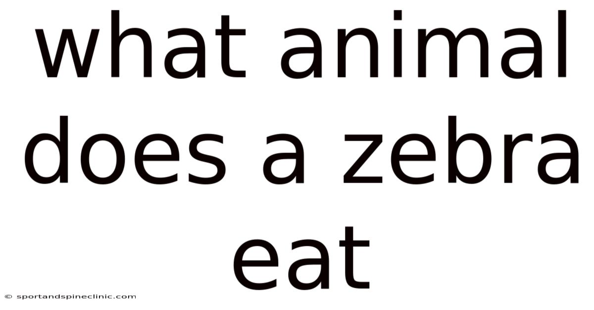 What Animal Does A Zebra Eat
