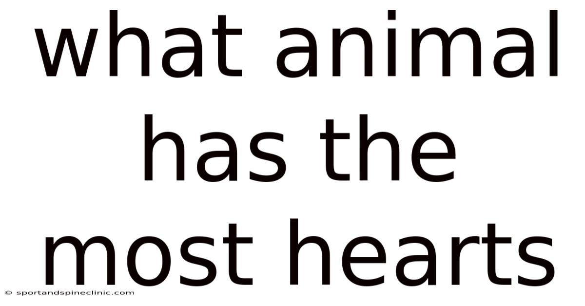 What Animal Has The Most Hearts