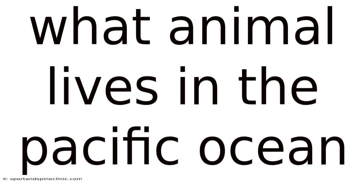 What Animal Lives In The Pacific Ocean