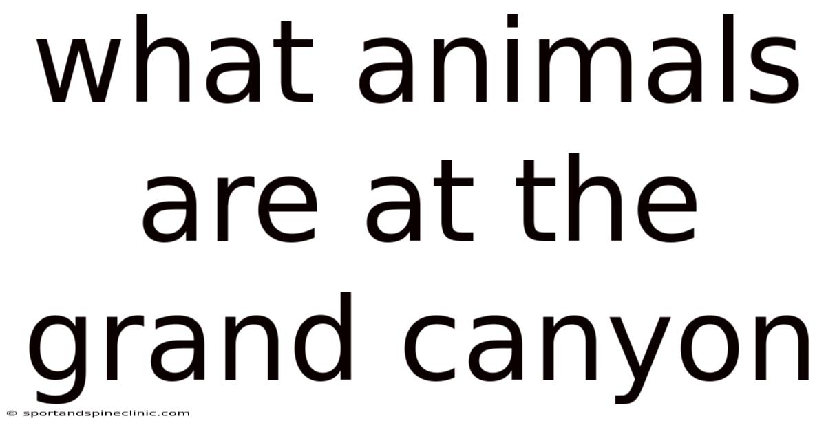 What Animals Are At The Grand Canyon