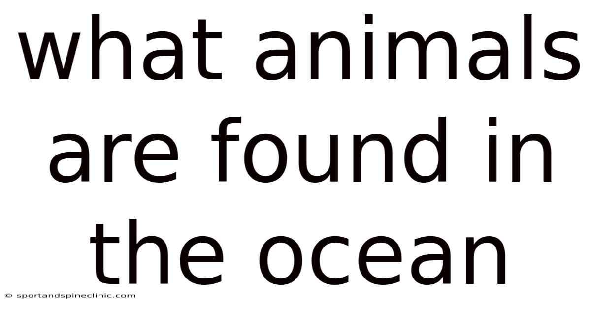 What Animals Are Found In The Ocean