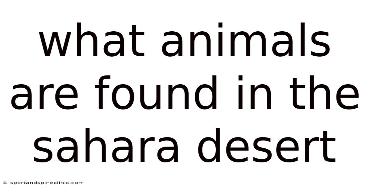 What Animals Are Found In The Sahara Desert