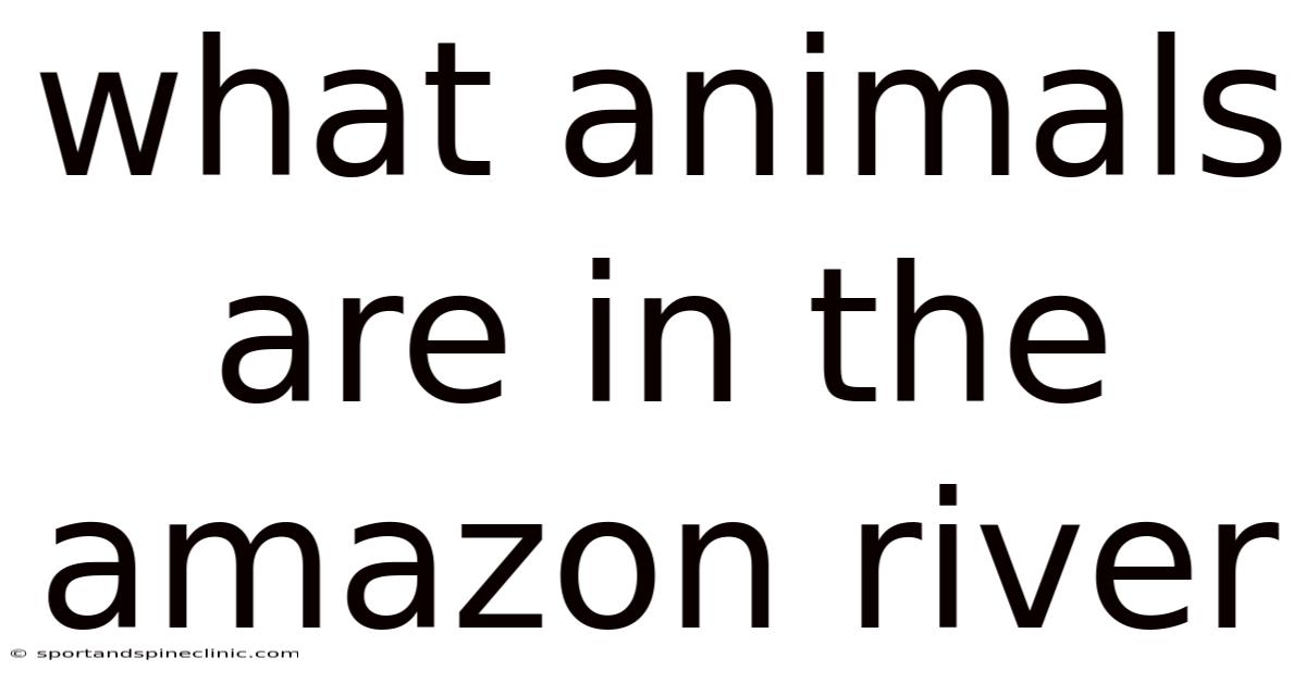 What Animals Are In The Amazon River