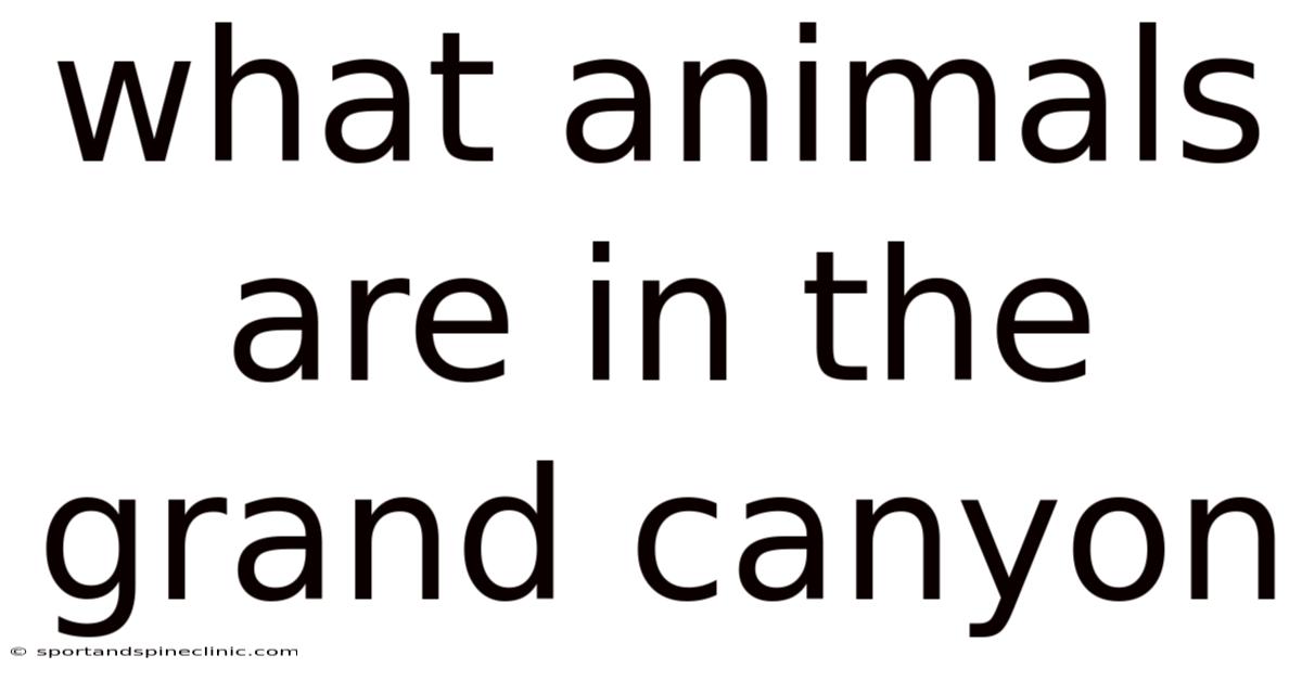 What Animals Are In The Grand Canyon