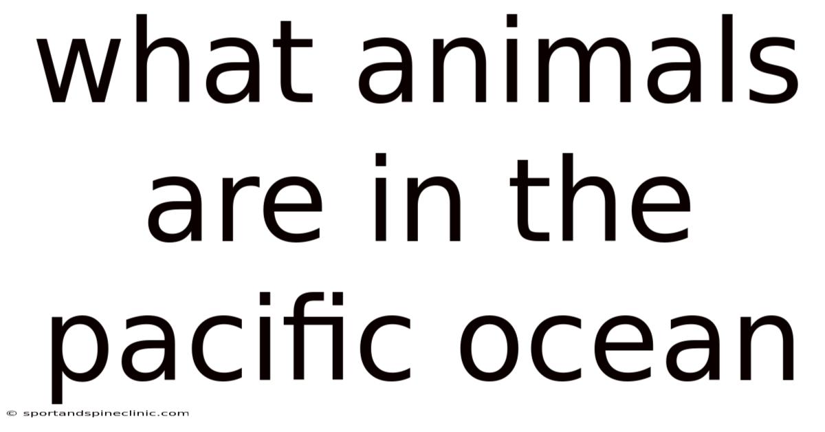 What Animals Are In The Pacific Ocean