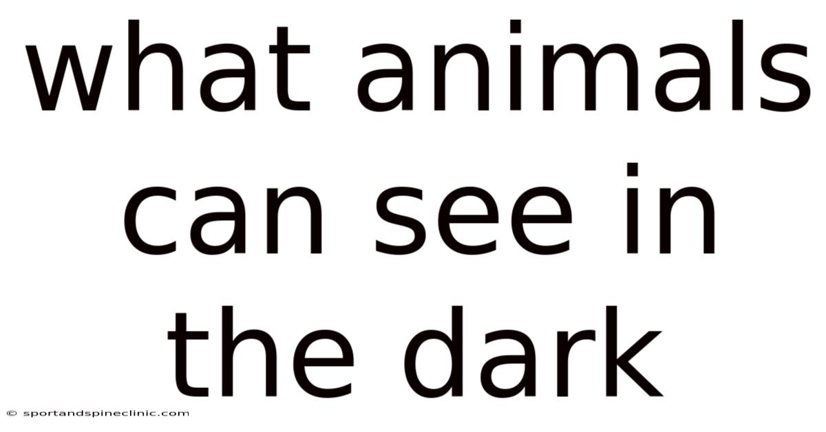 What Animals Can See In The Dark