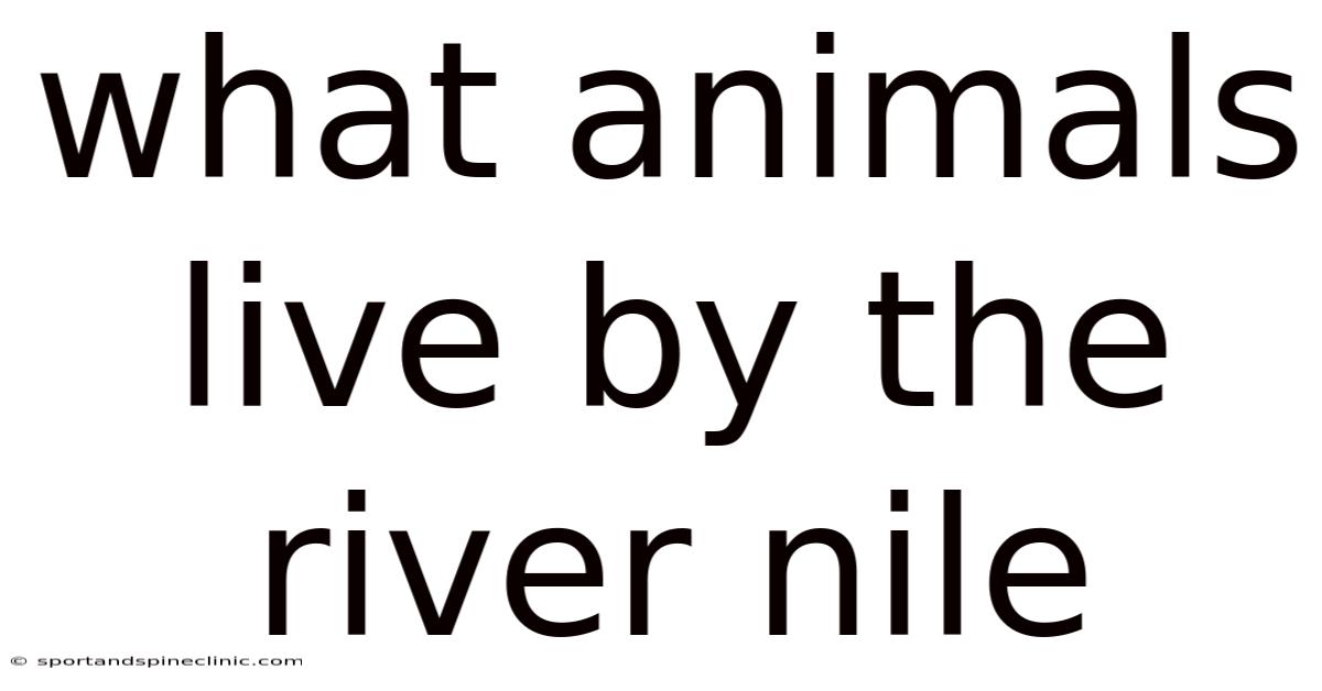 What Animals Live By The River Nile