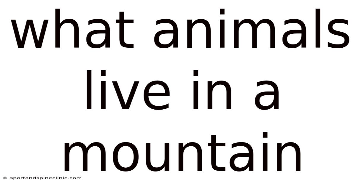 What Animals Live In A Mountain