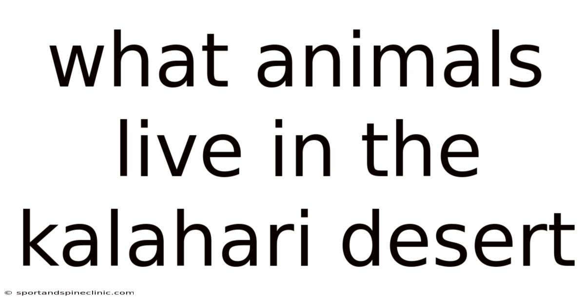 What Animals Live In The Kalahari Desert