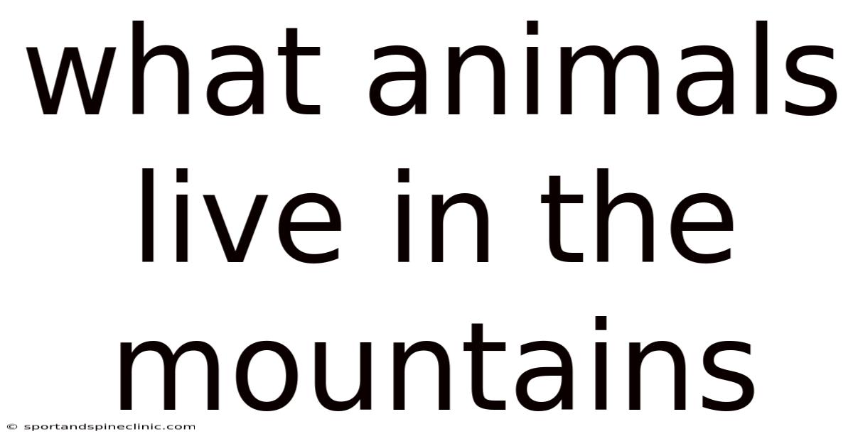 What Animals Live In The Mountains