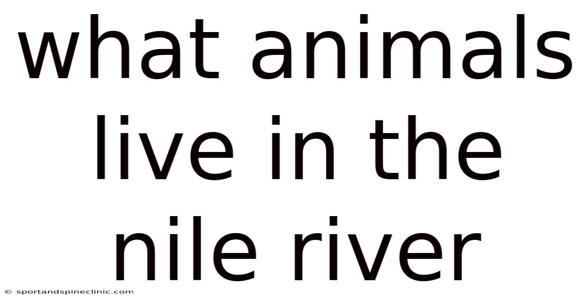 What Animals Live In The Nile River