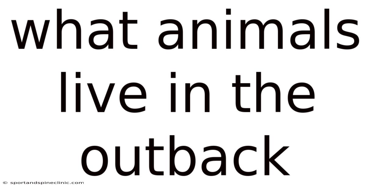 What Animals Live In The Outback