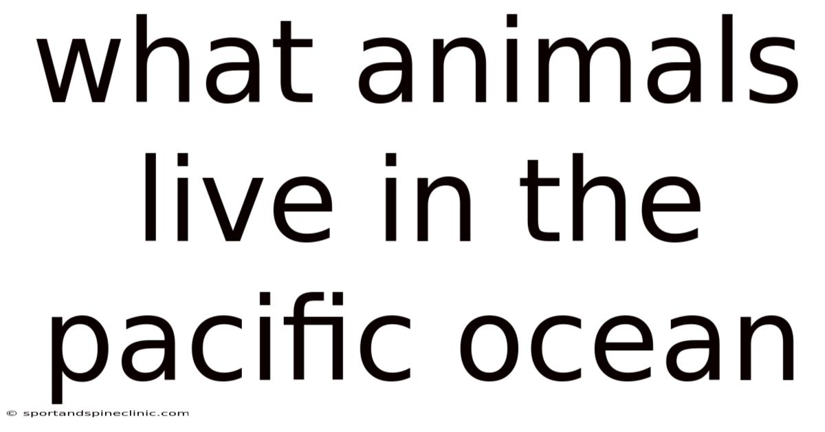 What Animals Live In The Pacific Ocean