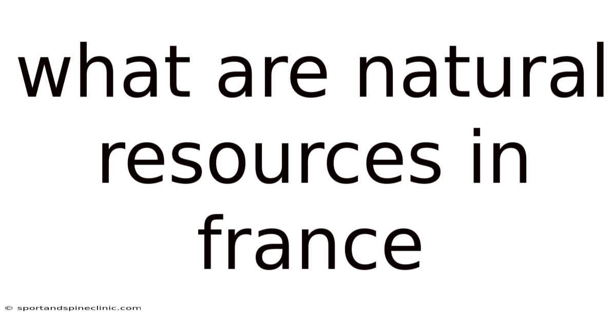 What Are Natural Resources In France