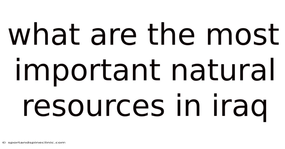 What Are The Most Important Natural Resources In Iraq