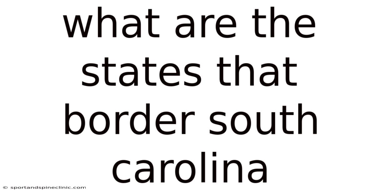 What Are The States That Border South Carolina