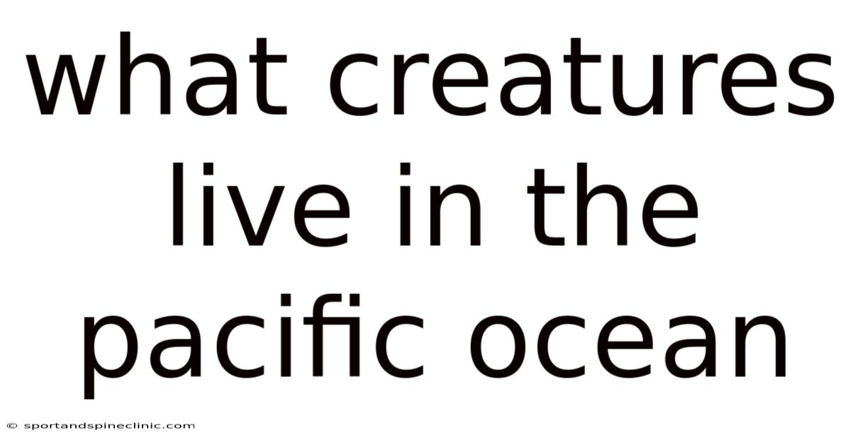 What Creatures Live In The Pacific Ocean