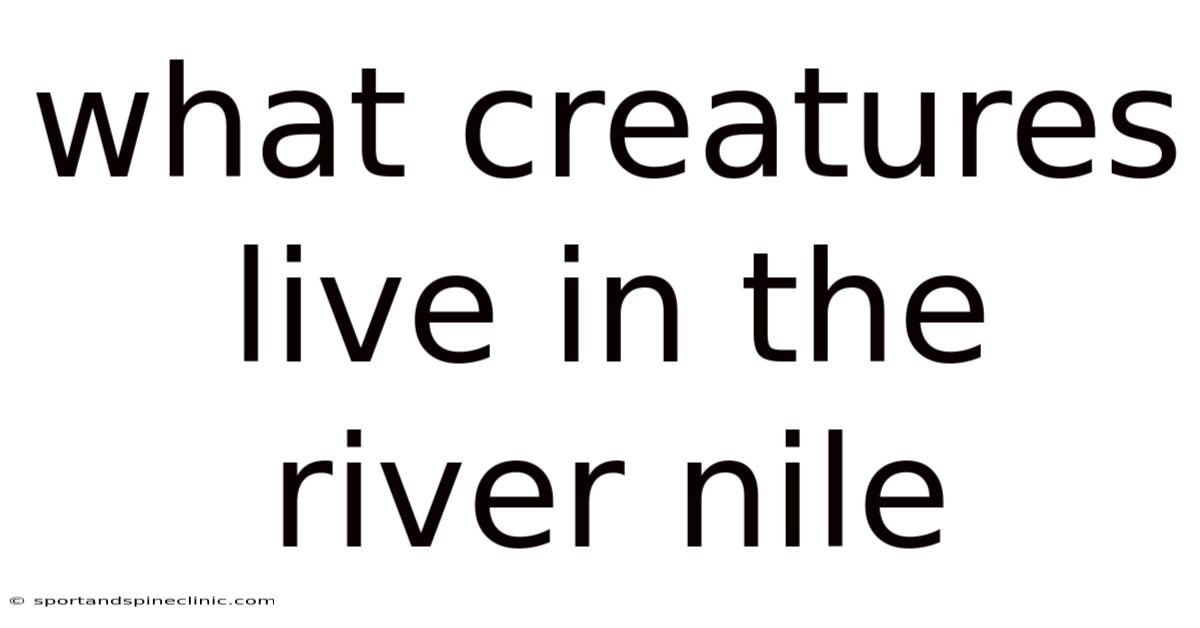 What Creatures Live In The River Nile
