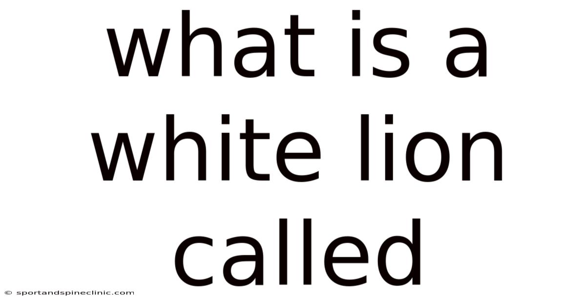 What Is A White Lion Called