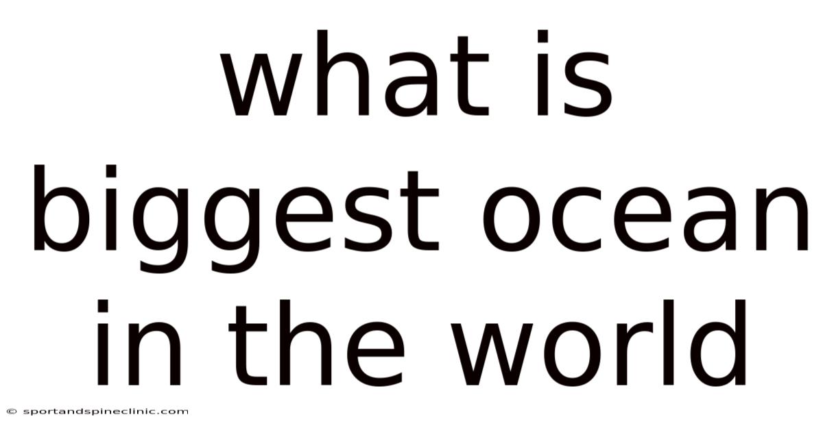 What Is Biggest Ocean In The World