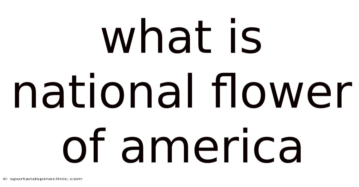 What Is National Flower Of America