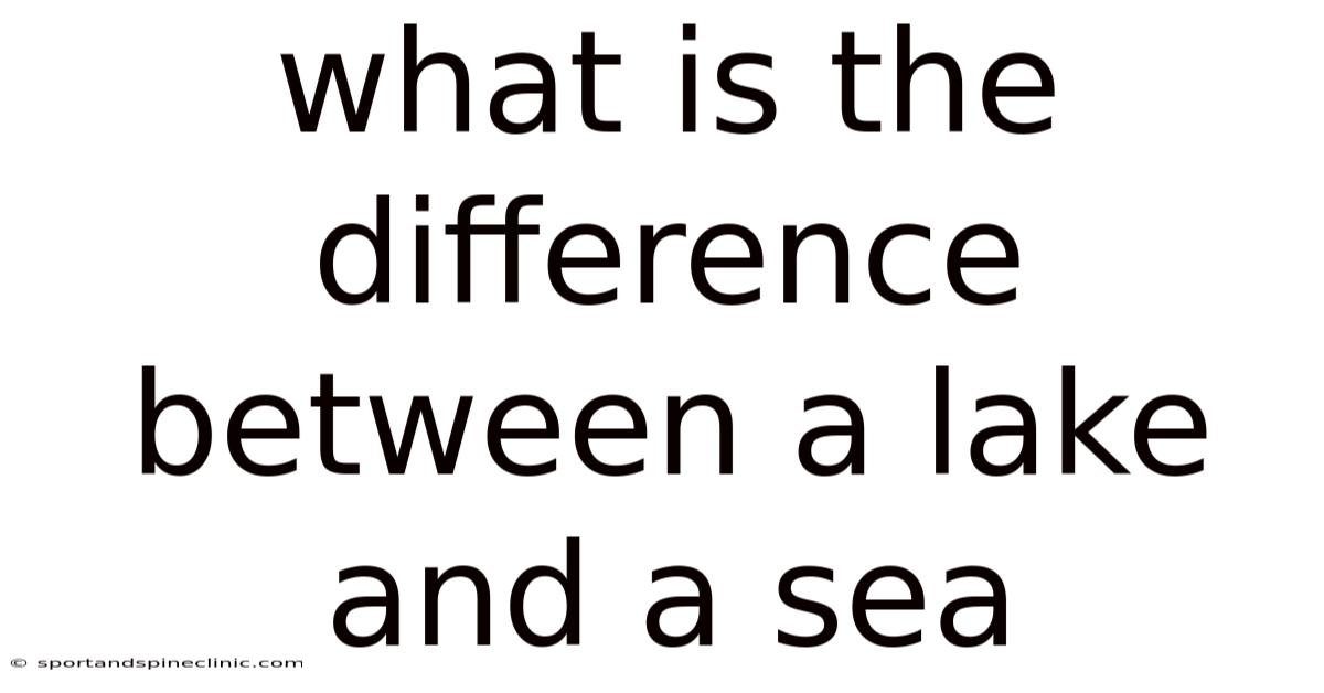 What Is The Difference Between A Lake And A Sea