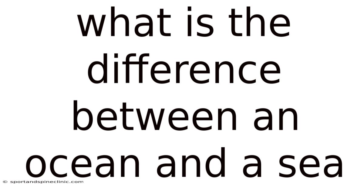 What Is The Difference Between An Ocean And A Sea
