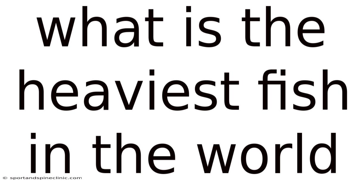 What Is The Heaviest Fish In The World