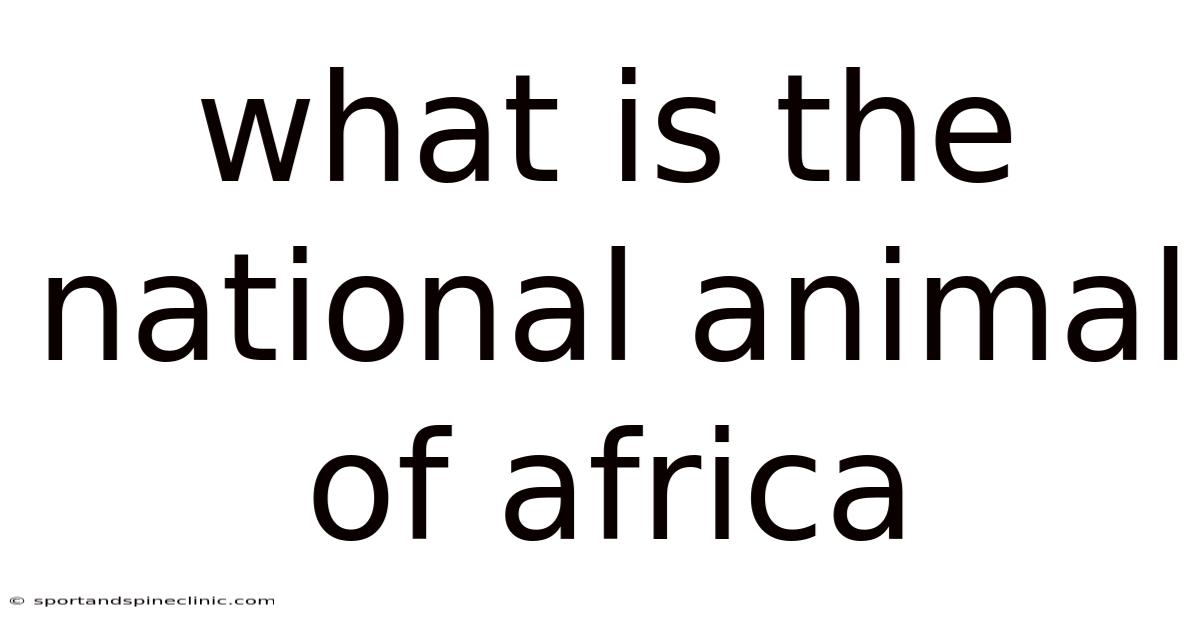 What Is The National Animal Of Africa