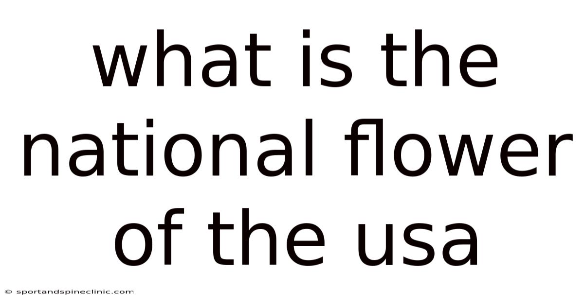 What Is The National Flower Of The Usa
