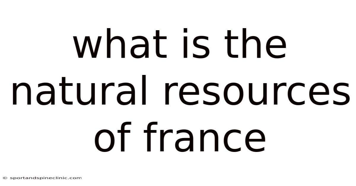 What Is The Natural Resources Of France