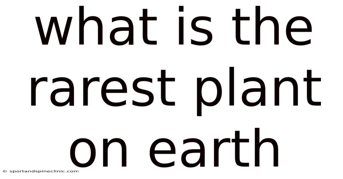 What Is The Rarest Plant On Earth