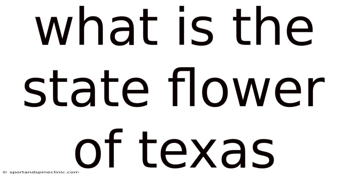 What Is The State Flower Of Texas