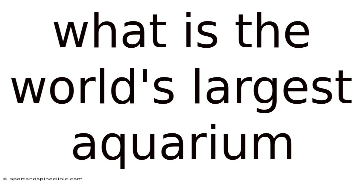 What Is The World's Largest Aquarium
