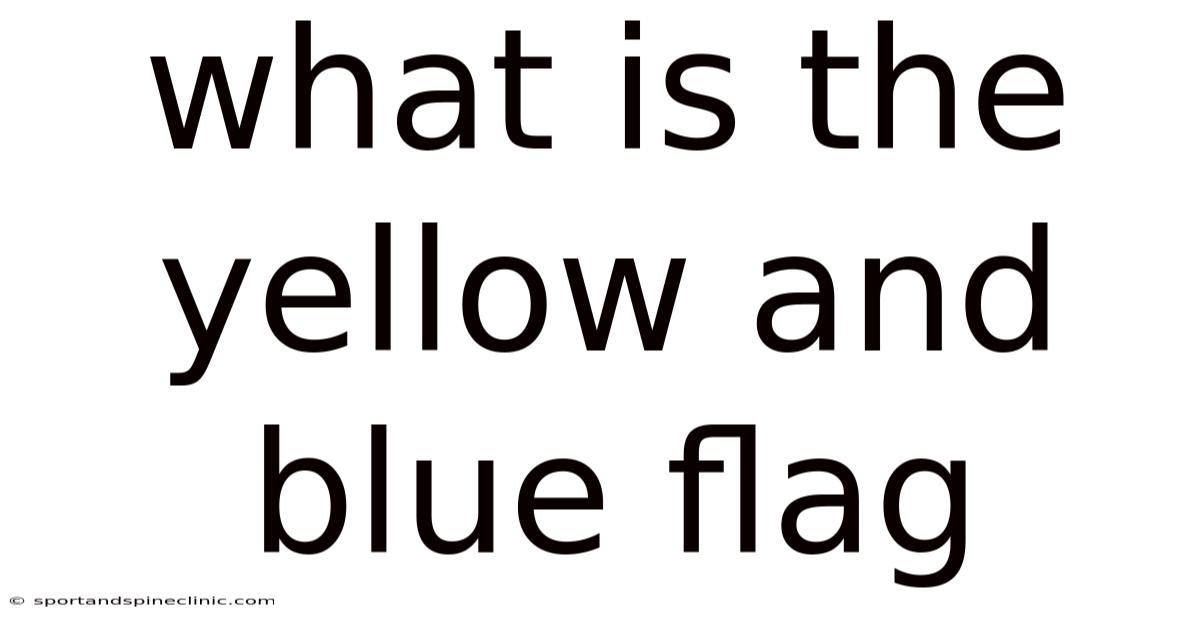 What Is The Yellow And Blue Flag