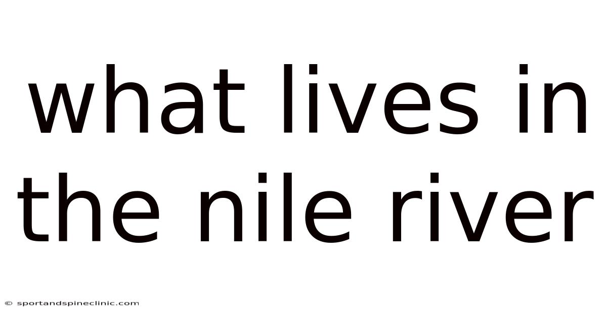 What Lives In The Nile River