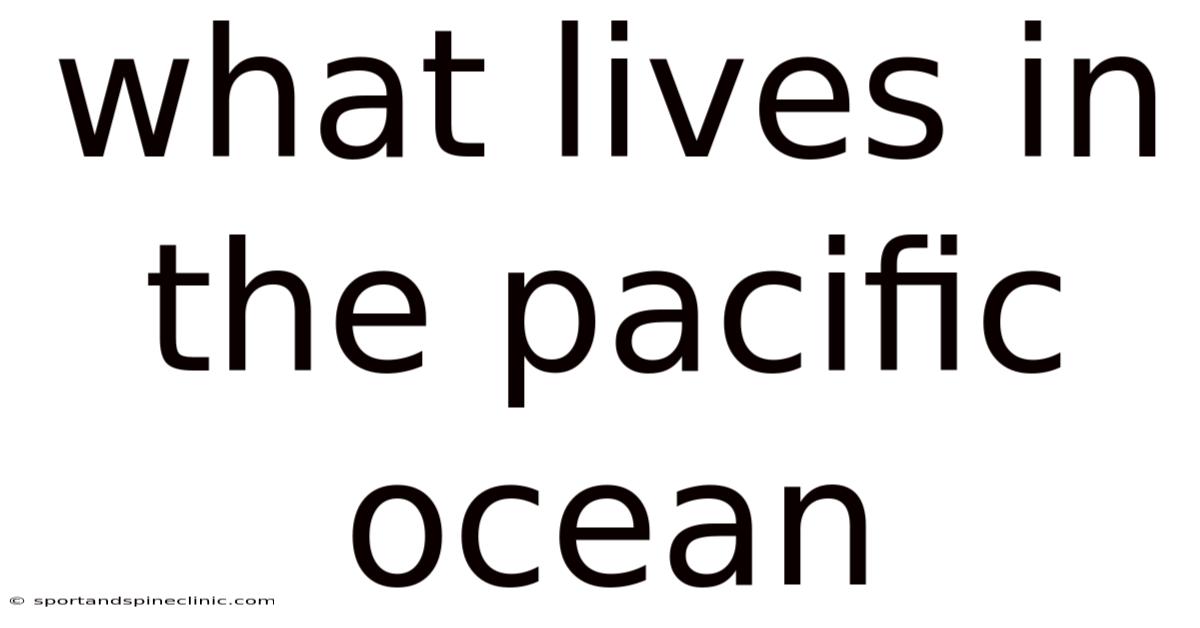 What Lives In The Pacific Ocean