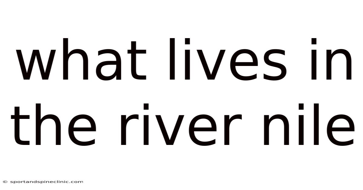 What Lives In The River Nile