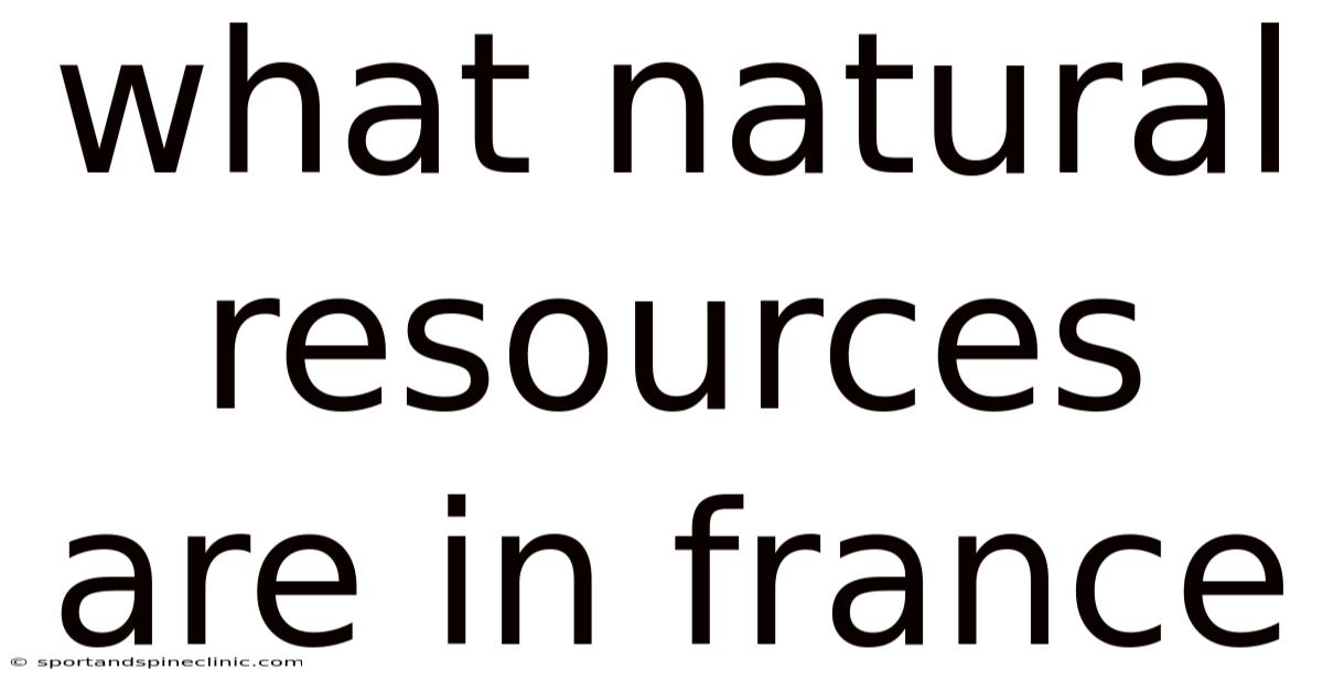 What Natural Resources Are In France