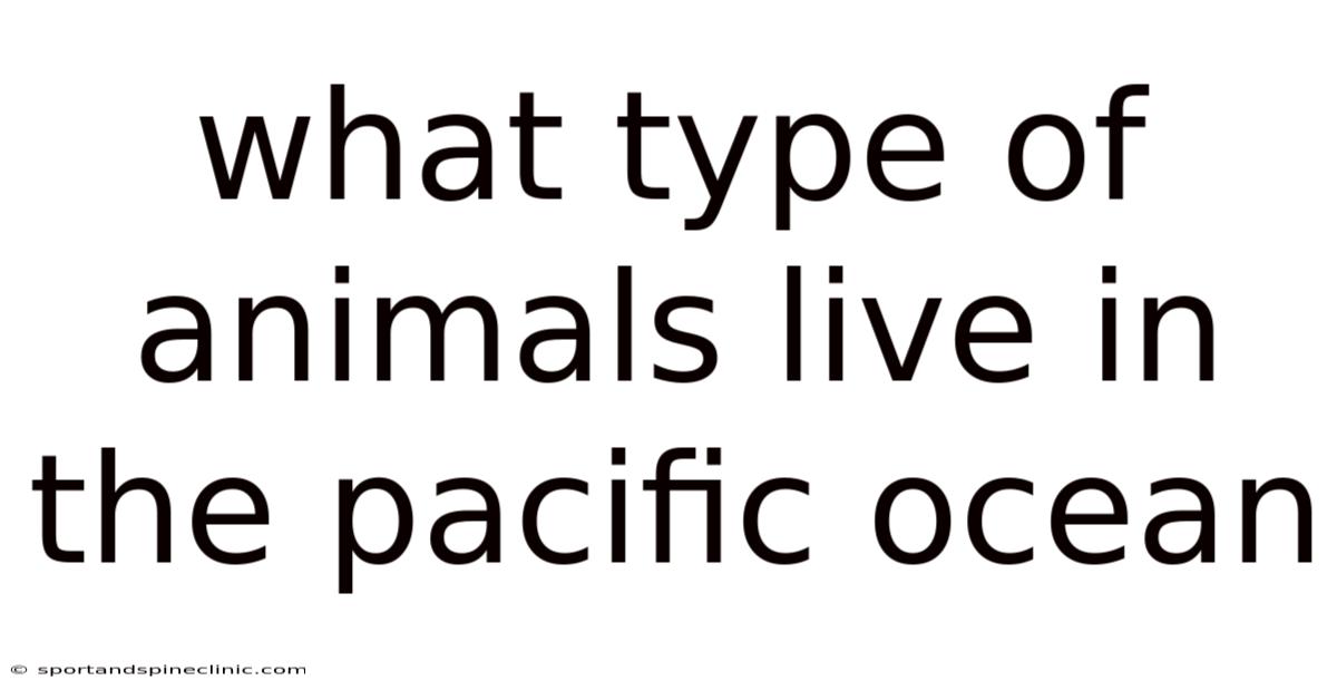 What Type Of Animals Live In The Pacific Ocean