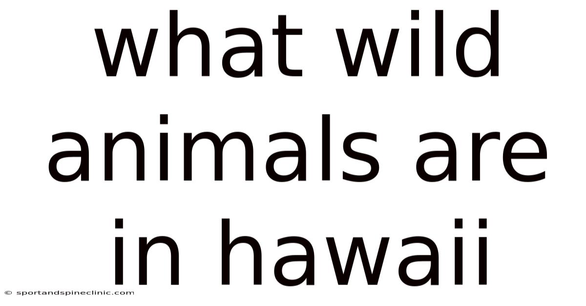 What Wild Animals Are In Hawaii