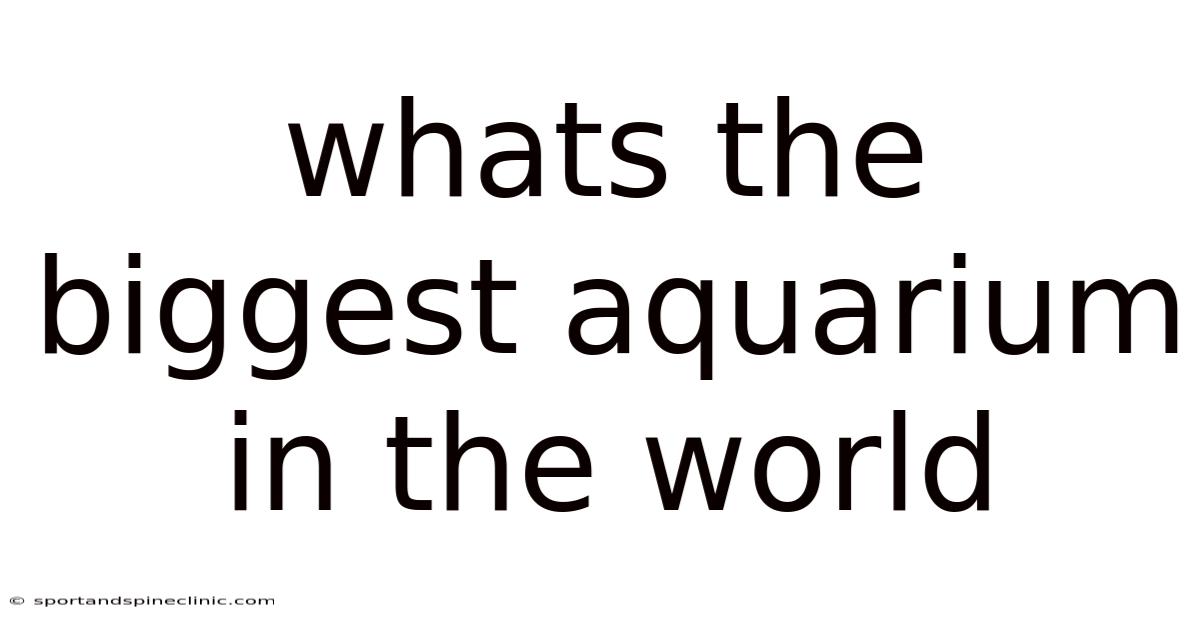Whats The Biggest Aquarium In The World