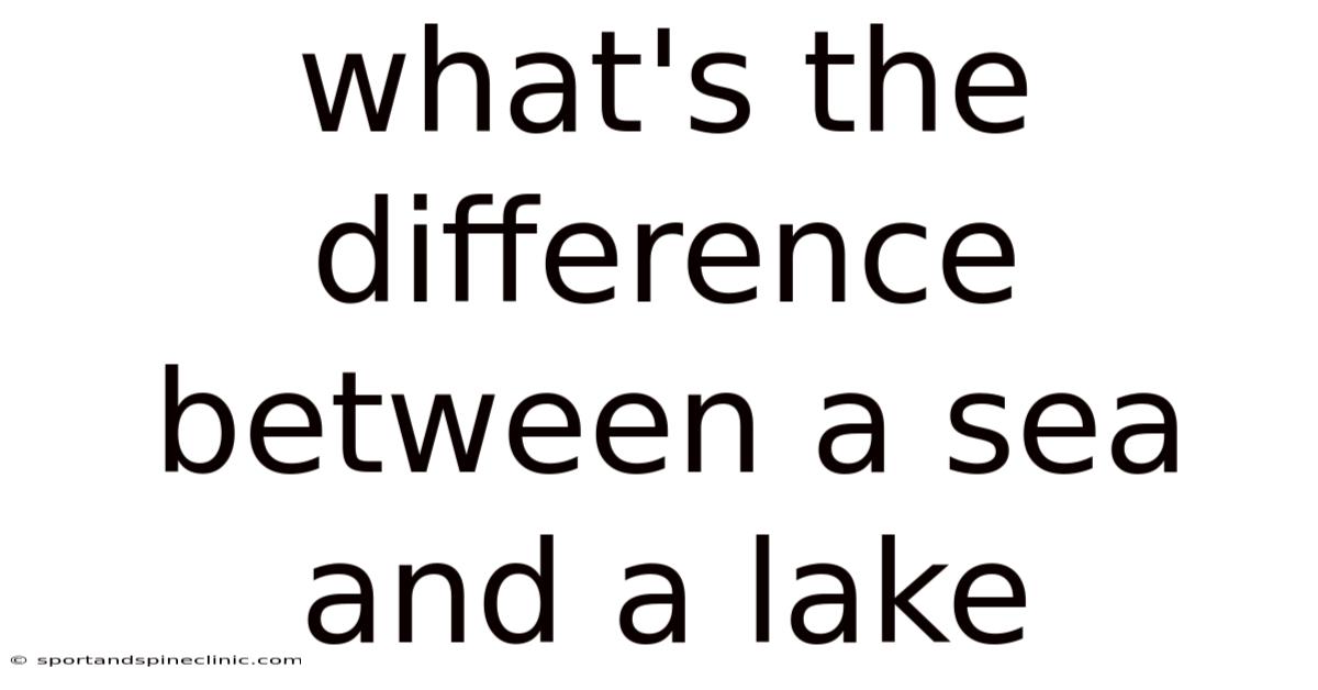What's The Difference Between A Sea And A Lake