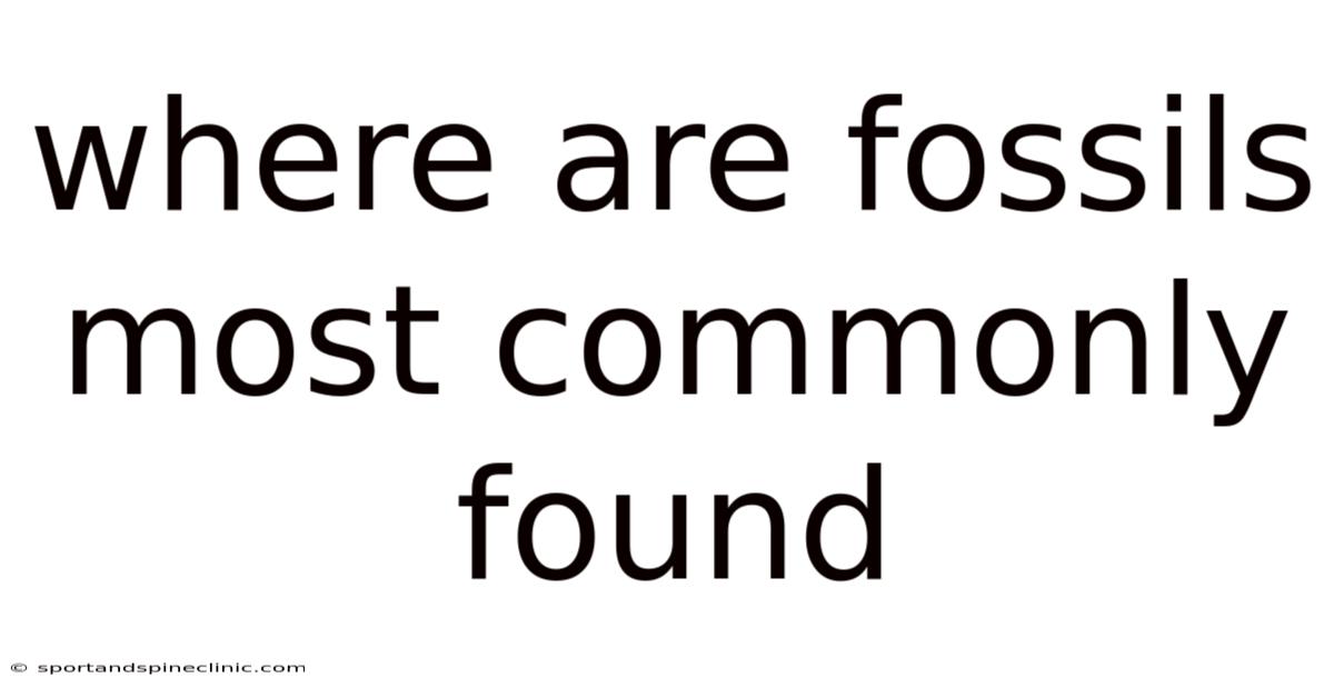 Where Are Fossils Most Commonly Found